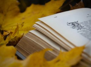 WhatsApp Image 2025-10-08 at 4.57.44 PM (2)