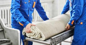 cropped-0-335813578447-eccbc87e4b5ce2fe28308fd9f2a7baf3